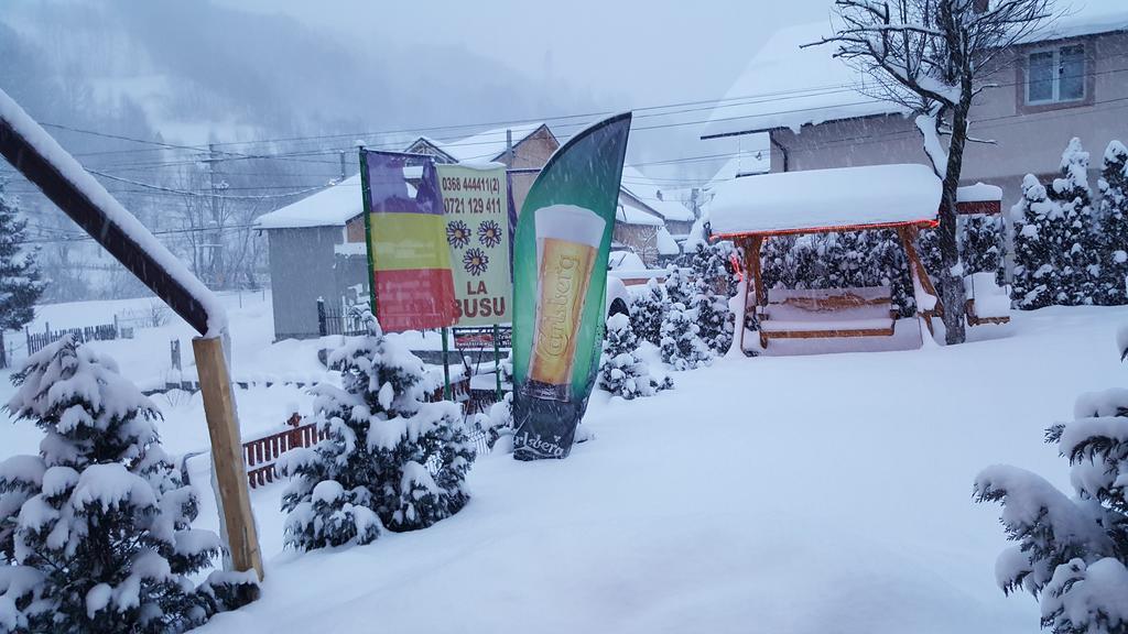 Pensiunea La Busu ブラン エクステリア 写真